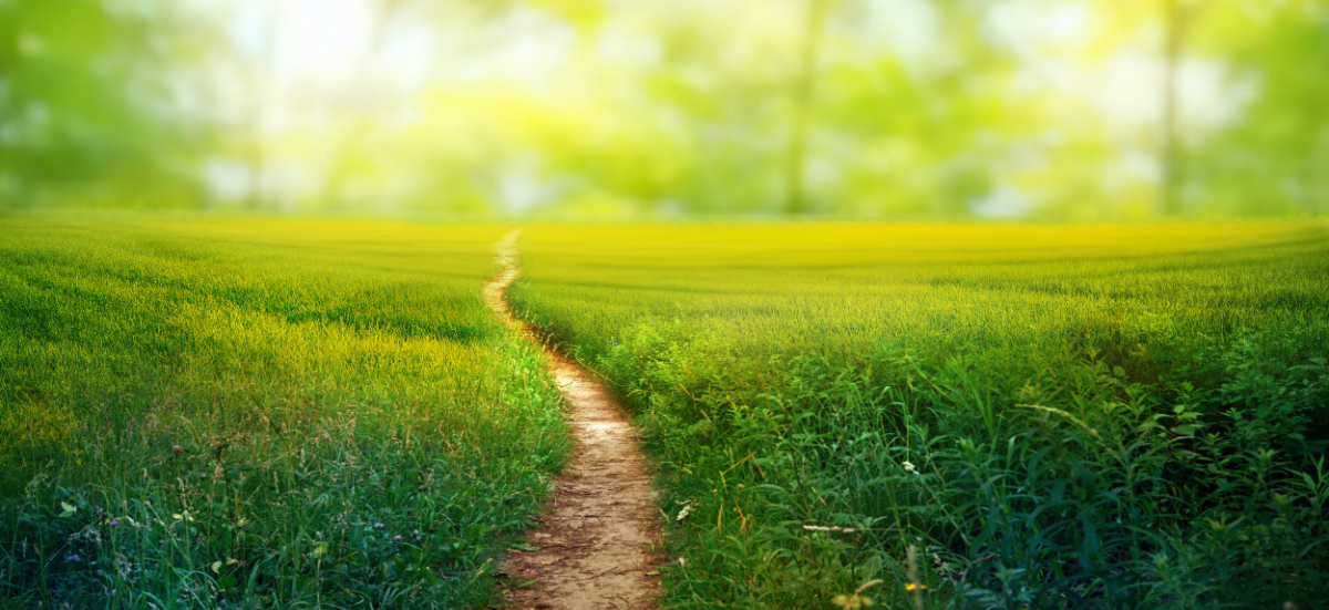 Tasks to Complete When a Loved One Dies