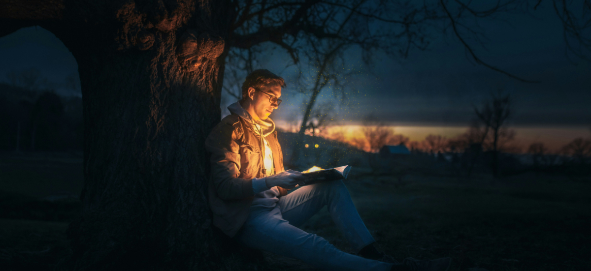 The Wise and Bold Steward